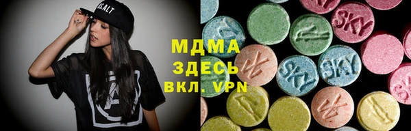 PSILOCYBIN Алзамай
