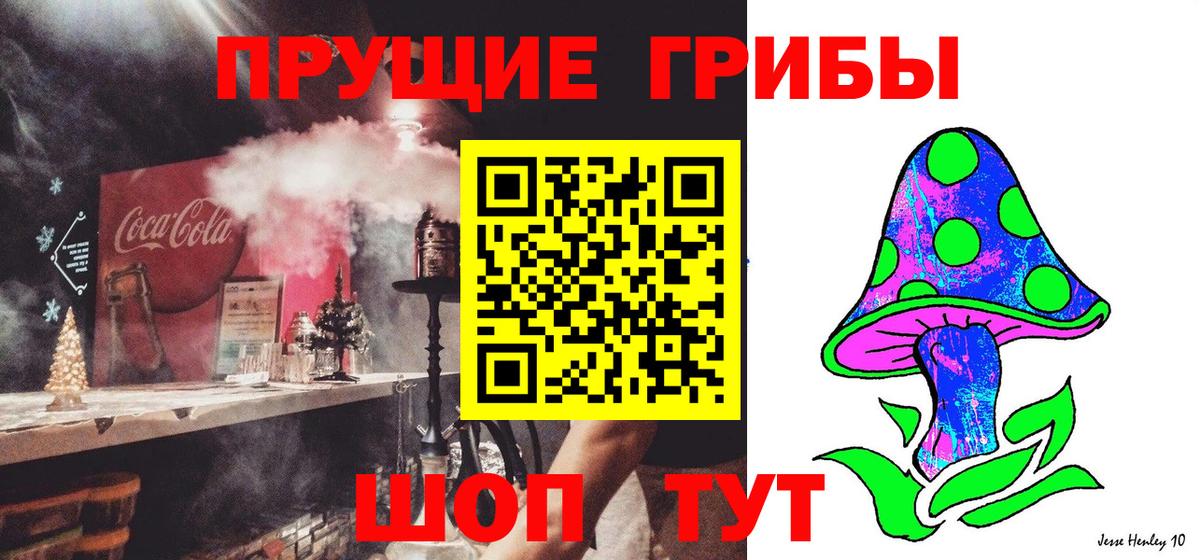 Псилоцибиновые грибы Psilocybe  наркота  Усолье-Сибирское  Вход с VPN 